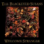 Pochette Welcome Stranger