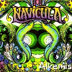 Pochette Alkemis