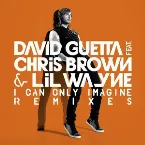 Pochette I Can Only Imagine (remixes)