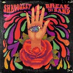 Pochette Break the Band (How Could She?)