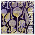 Pochette String Quartets: 2002 - 2007