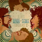 Pochette The Blues Experience II