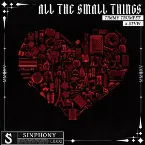 Pochette All the Small Things