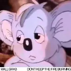 Pochette Don't Keep The Fire Burning