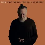 Pochette What Would You Call Yourself