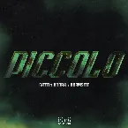 Pochette Piccolo