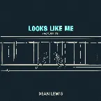 Pochette Looks Like Me (acoustics)