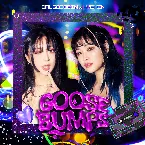 Pochette Goosebumps