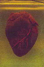 Pochette Cardiac Arrest