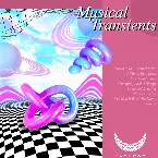 Pochette Musical Transients