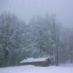 Pochette Signals of an alternate reality