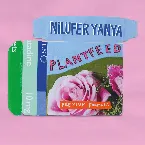 Pochette Plant Feed