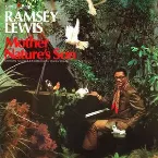 Pochette Mother Nature's Son