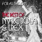 Pochette For All the Cats: The Best of Marc Bolan & T. Rex