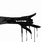 Pochette Black Punk