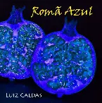Pochette Romã Azul