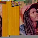 Pochette Darkness With Fire