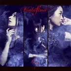 Pochette blaze