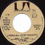 Pochette Teardrops Will Kiss the Morning Dew / Nothing Seems to Work Anymore