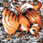 Pochette #146 ~ Moltres