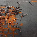 Pochette Coalescence of Time: Other Conjectures on Future