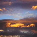 Pochette Harmonic Gnome Area