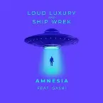 Pochette Amnesia