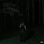 Pochette If Looks Could Kill²