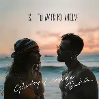 Pochette Si tu amor no vuelve
