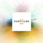 Pochette Particles