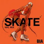 Pochette SKATE (NHL mix)