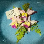 Pochette Convite para Ouvir Maysa