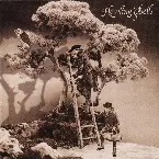 Pochette Howling Bells