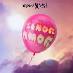 Pochette Señor amor
