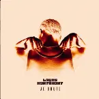Pochette Je doute