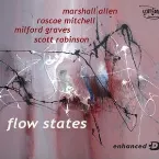 Pochette Flow States