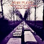 Pochette A Momentary Lapse of Reason Official Tour CD