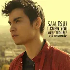 Pochette I Knew You Were Trouble