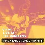 Pochette Triple J Live at the Wireless - Splendour in the Grass 2019