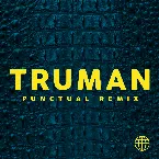 Pochette Alligator (Punctual Remix)