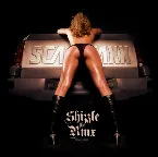 Pochette Shizzle The (rmx)