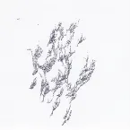 Pochette Drowner Yellow Swans