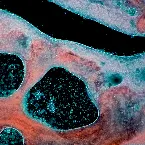 Pochette By This River