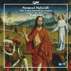 Pochette The great sacred Concertos