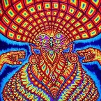 Pochette The Universe Inside