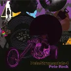 Pochette Petestrumentals 4