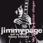 Pochette Hip Young Guitar Slinger