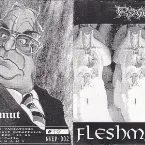 Pochette Dicker Helmut / Fleshmangler