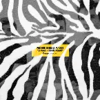 Pochette Shame (BADBADNOTGOOD Remix)