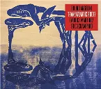 Pochette Transatlantic Roots